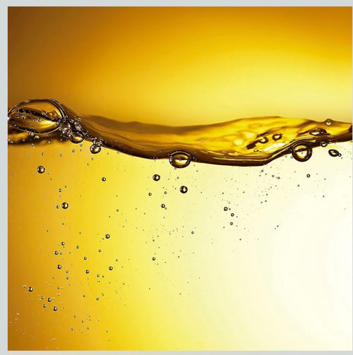 REVLON PROFESSIONAL Orofluido Argan Oil Elixir